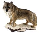 Wolf On Snowy Base