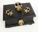 Box With 3 Skulls Wood 24X18X13cm