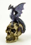 Dragon Purple On Ivory Skull