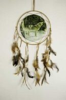 Dream Catcher Wolves In Snow