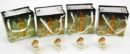 Angel Mini With Heart 2.5cm 4pcs