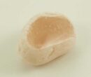 Stone Dragons Egg Rose Quartz