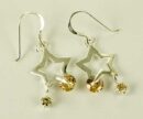 Silver Earring Star Amber L3cm