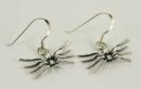 Earring Spider W20mm