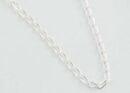 Silver Chain Curb 22 Inch