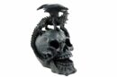 Dragon Standing On Skull Head