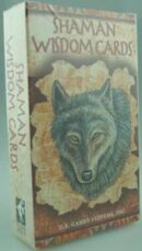 Tarot Card Shaman Wisdom