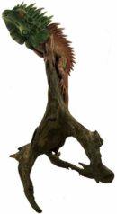 Iguana Painted Wooden Standing 20 Inch